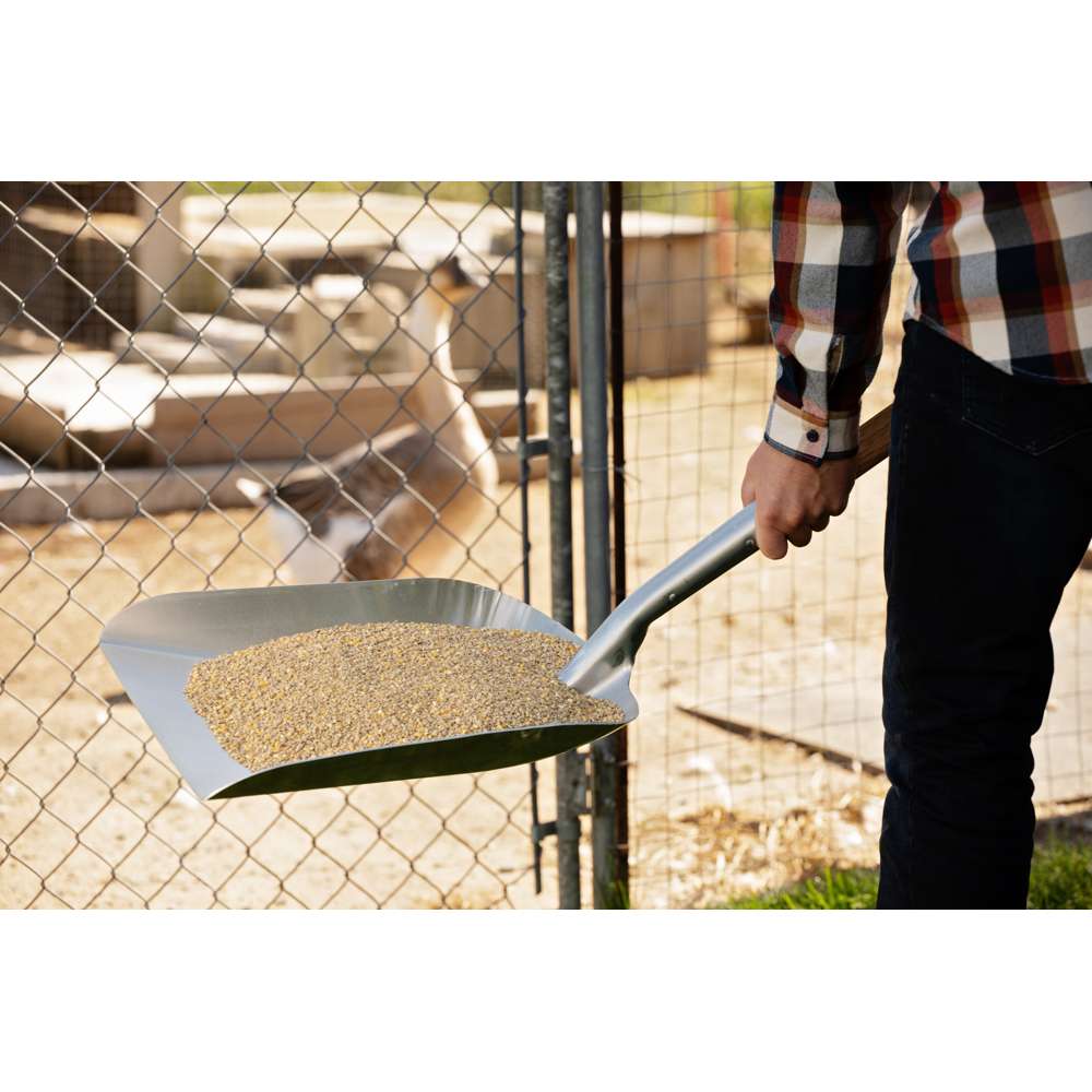 Grain scoop with aluminum blade