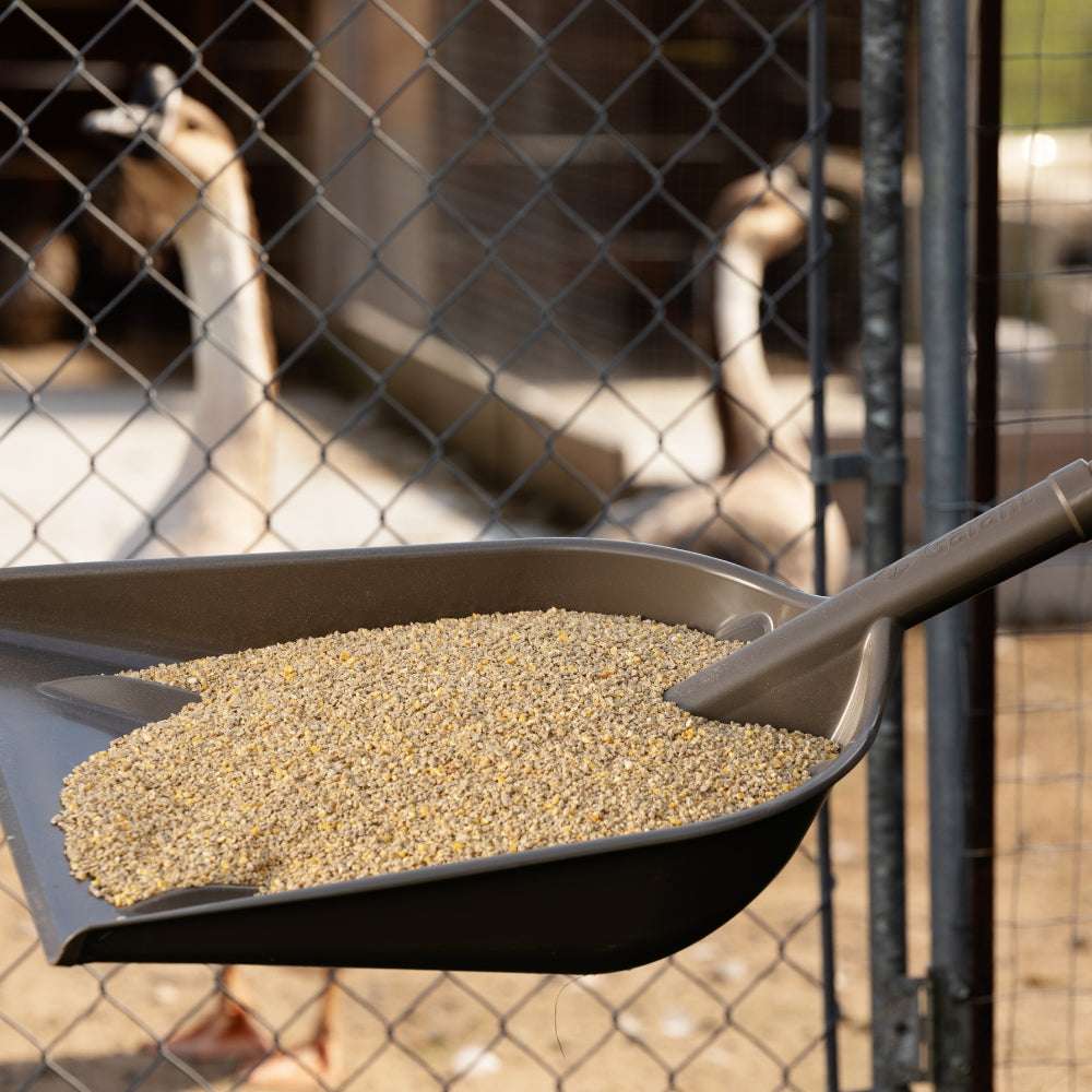 Grain scoop