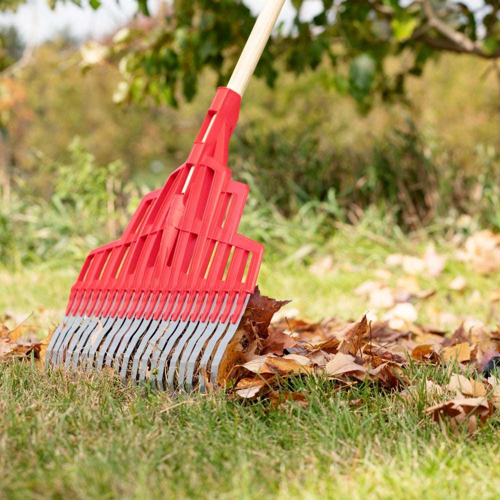 Multi-purpose rake