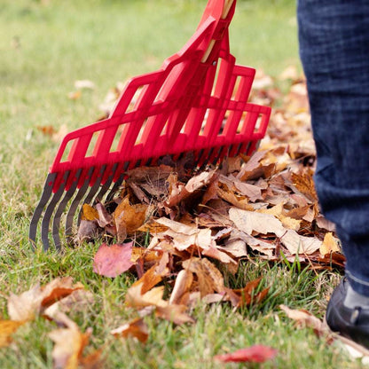 Multi-purpose rake