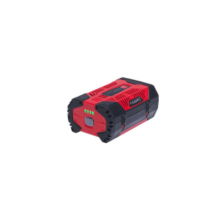 Batterie lithium-ion rechargeable 62V 4,0Ah