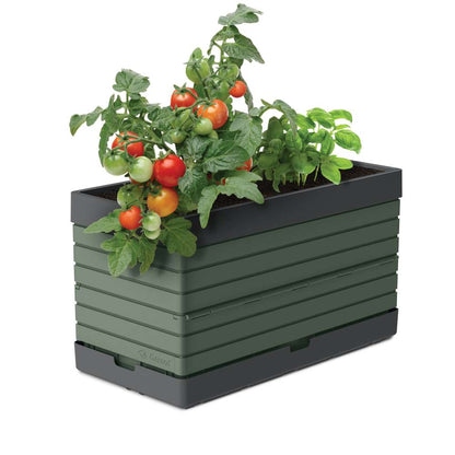 Modular Garden Starter Kit